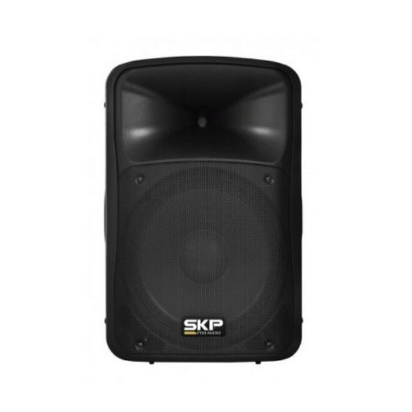 Imagen de 12" CAJA ACUSTICA PASIVA SKP BAFLE PASIVO 12 PULGADAS